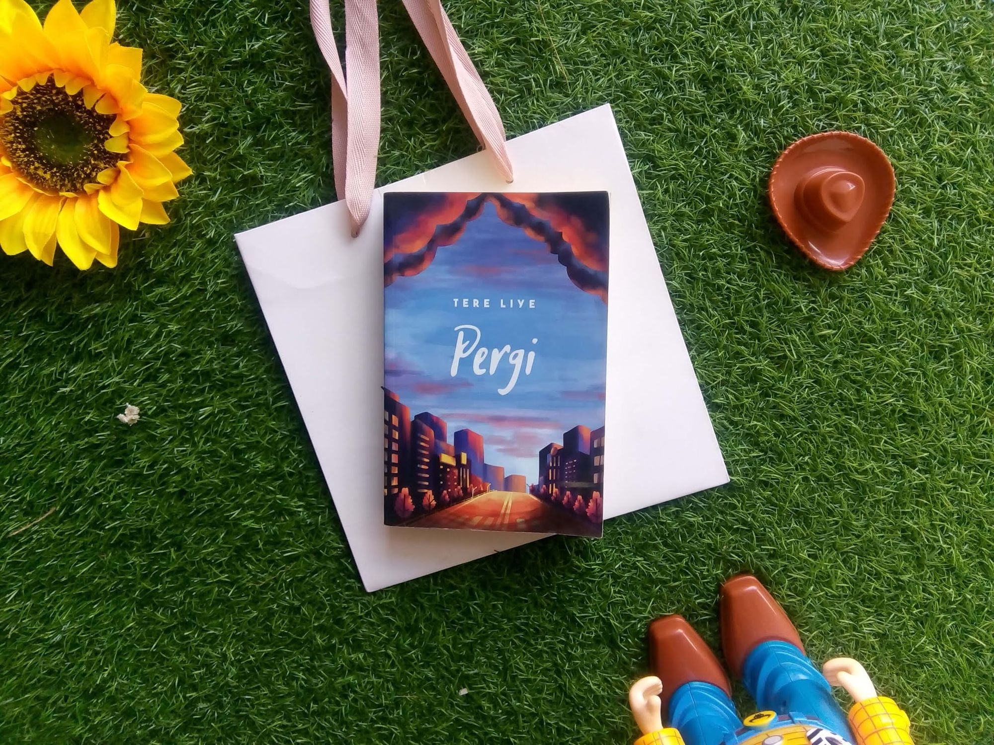 Sinopsis Novel Pergi Karya Tere Liye