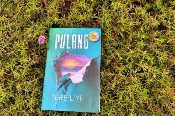 Sinopsis Novel Pulang Karya Tere Liye